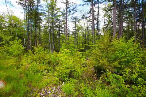119 Henderson Road Nelson NH 03457