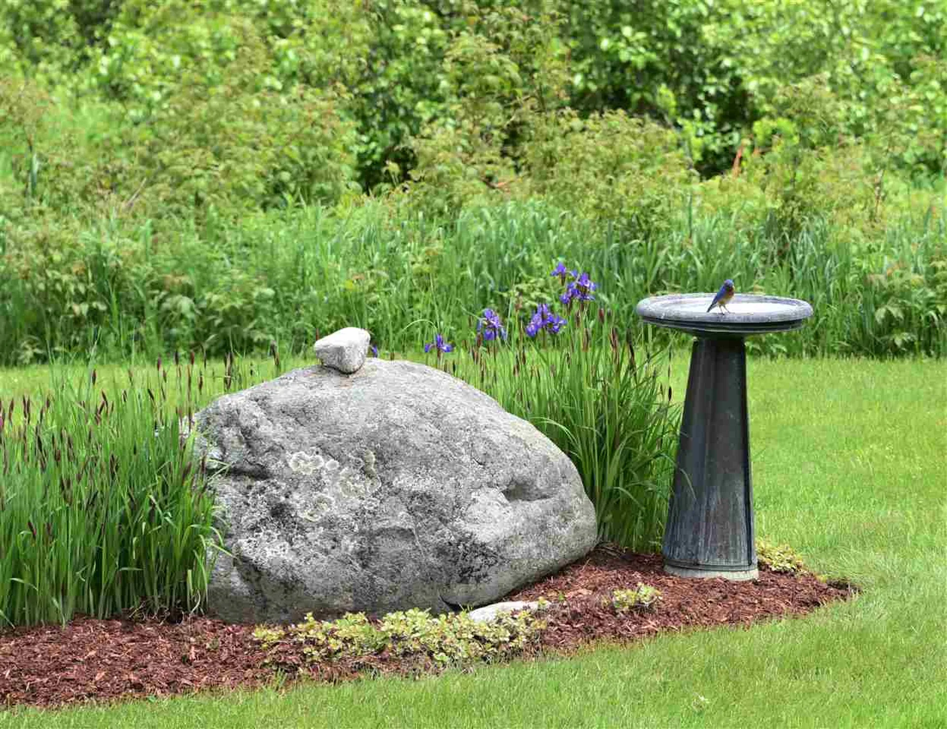 73 Brigham Hill Road Essex VT 05452