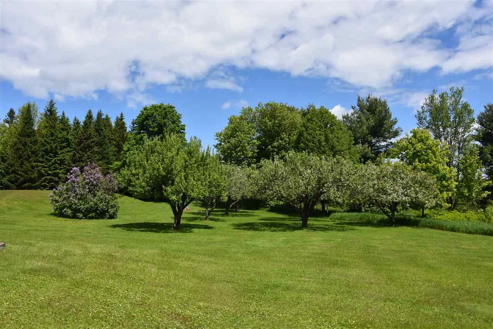 73 Brigham Hill Road Essex VT 05452