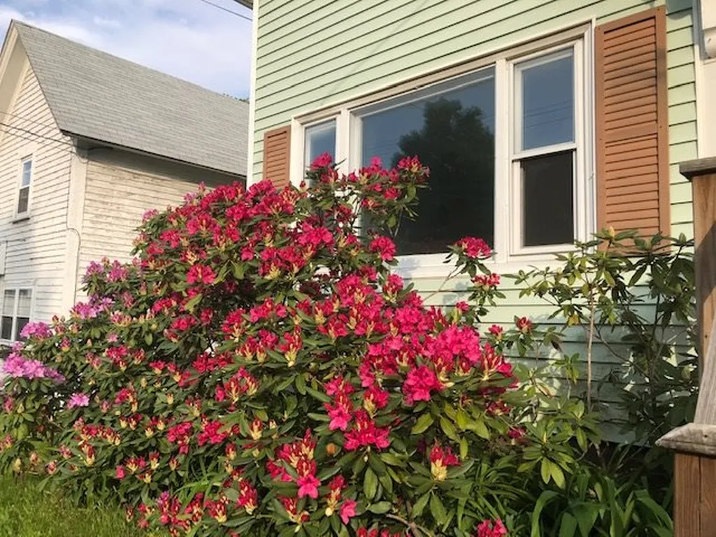 73 Portland Avenue Dover NH 03820