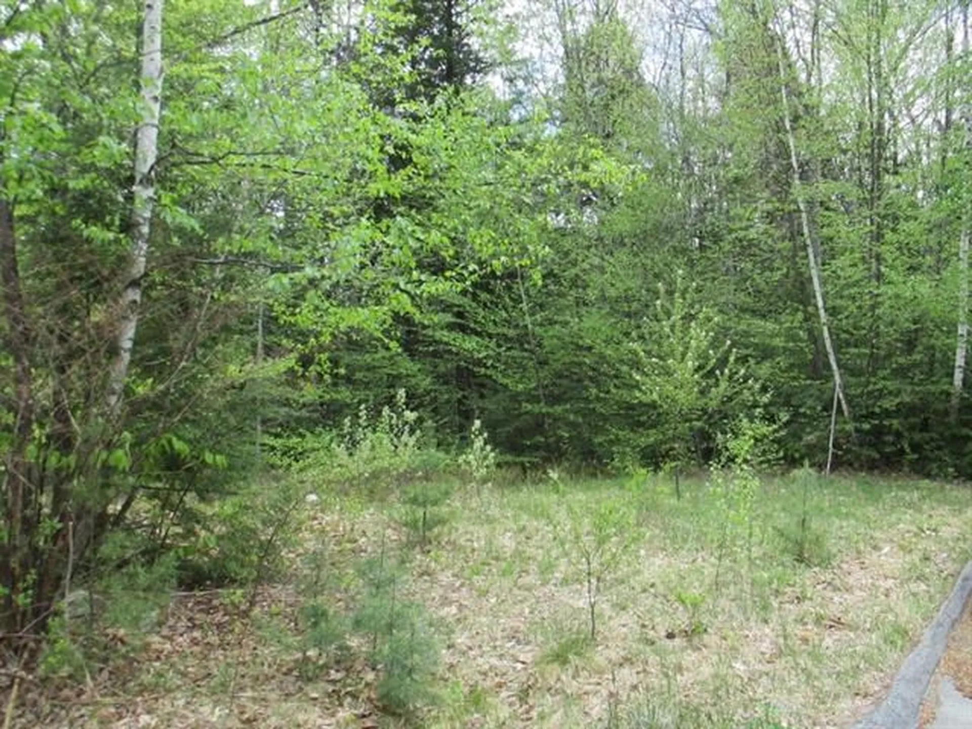 64 Meetinghouse Road Keene NH 03431