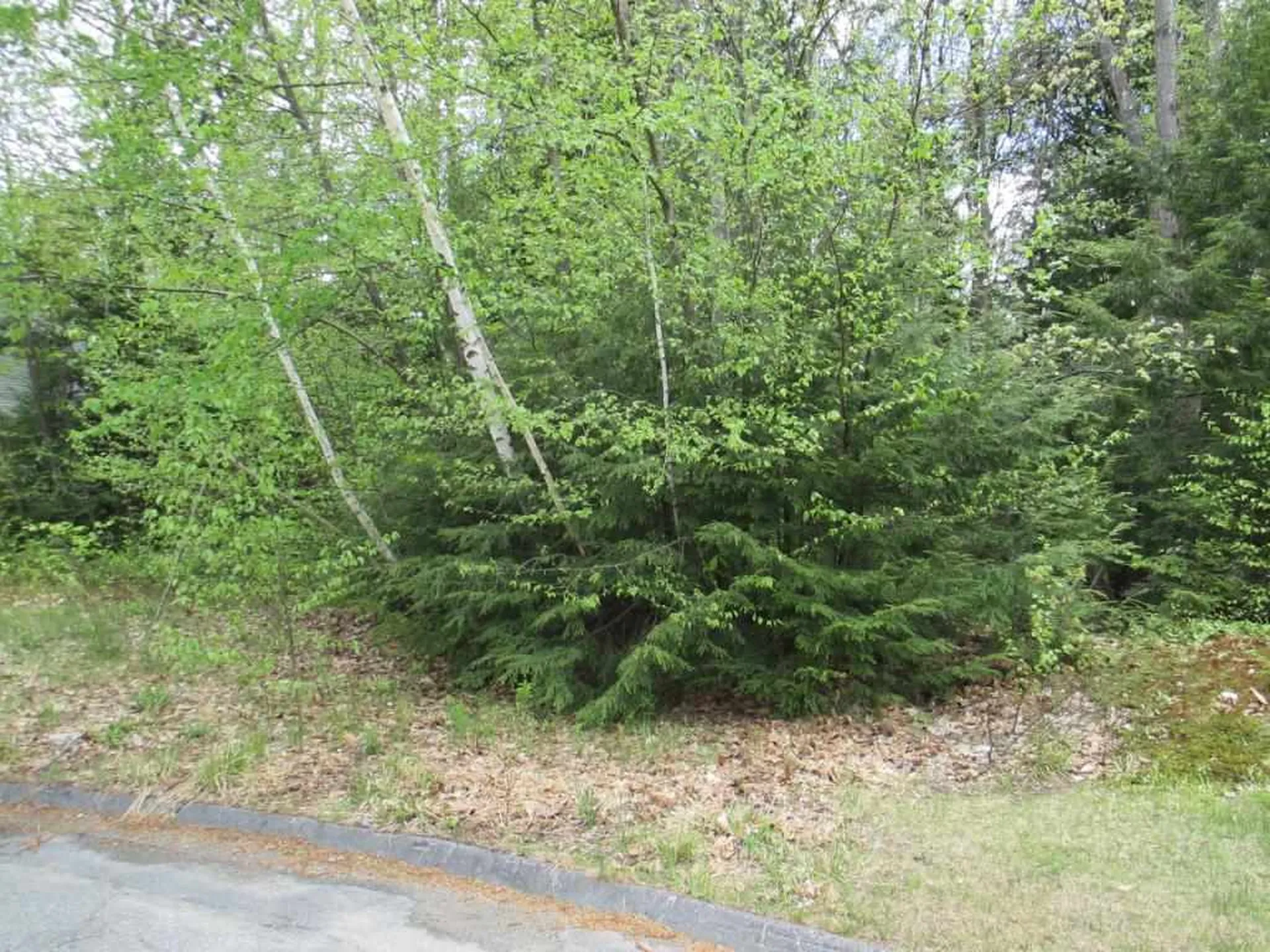 64 Meetinghouse Road Keene NH 03431