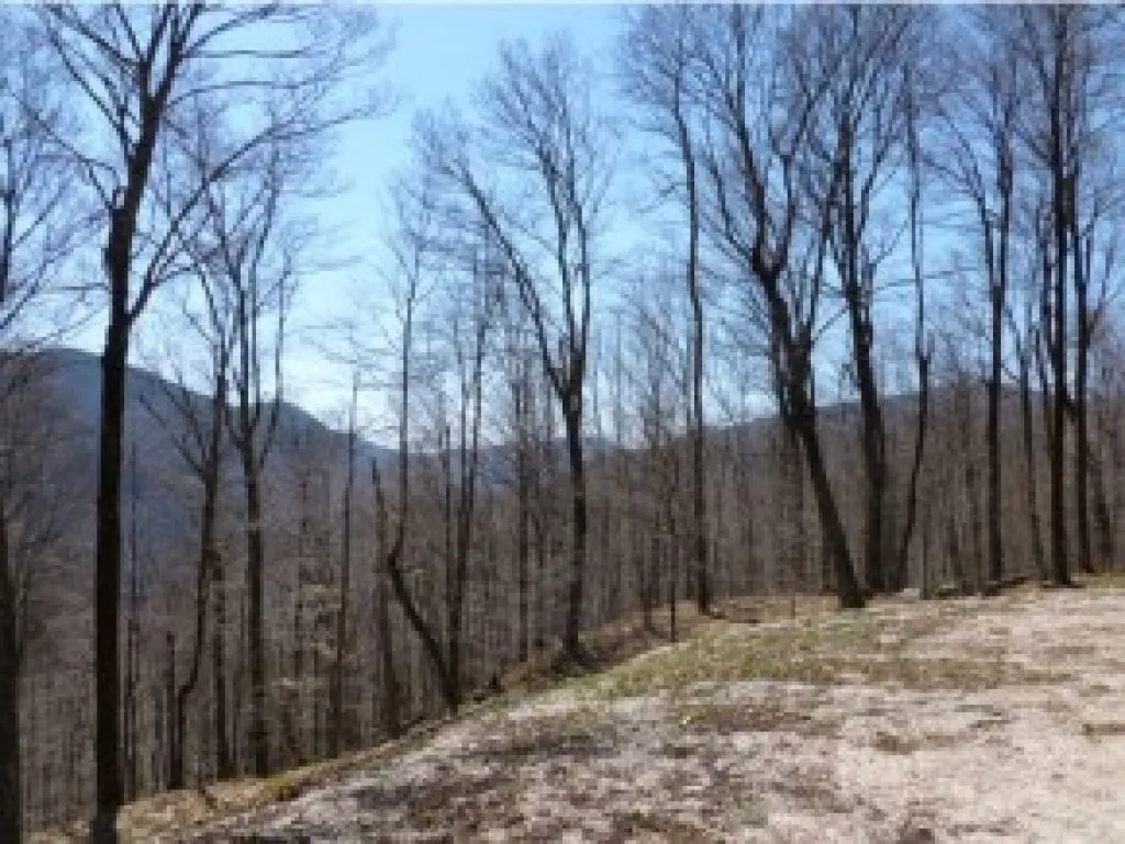 1 Trumans Trek Drive Killington VT 05751