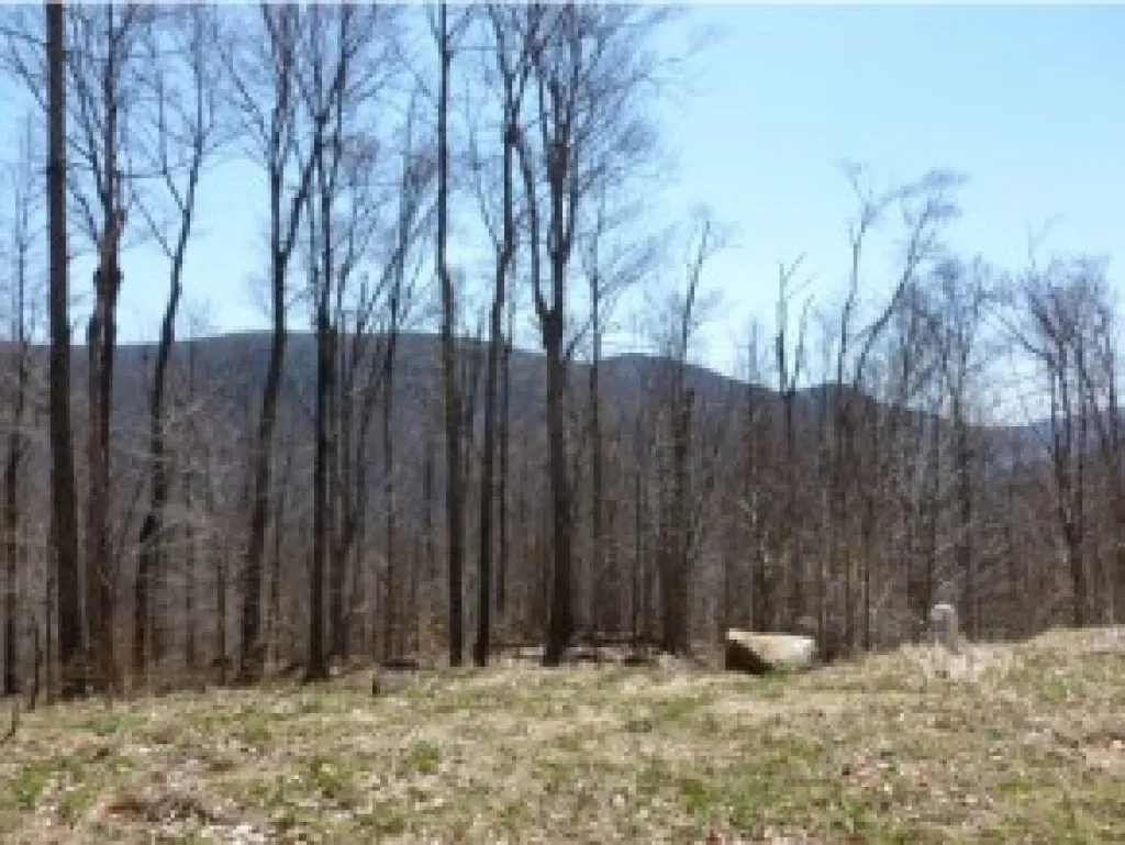1 Trumans Trek Drive Killington VT 05751