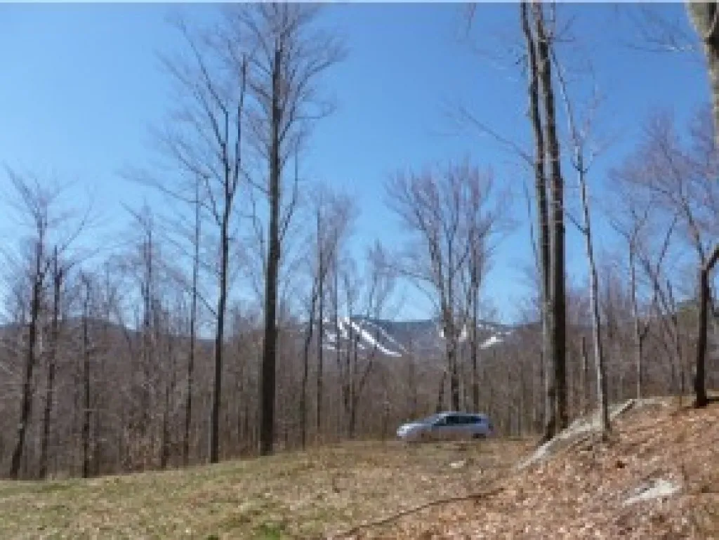 1 Trumans Trek Drive Killington VT 05751