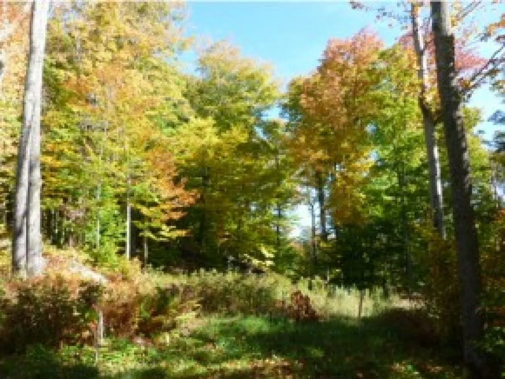1 Trumans Trek Drive Killington VT 05751