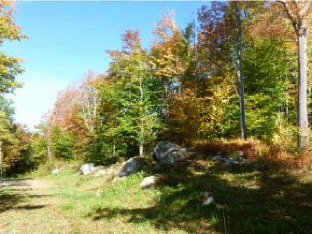 1 Trumans Trek Drive Killington VT 05751