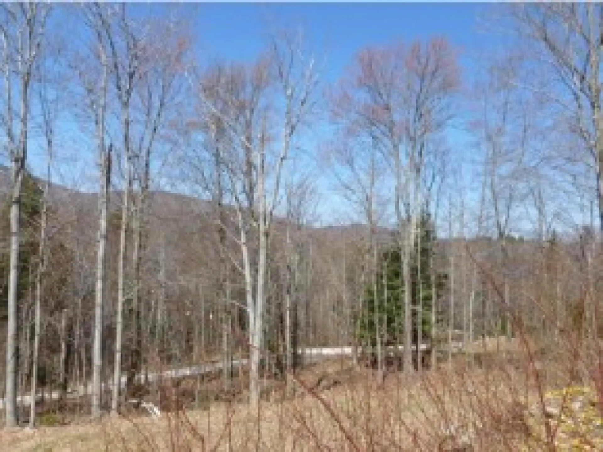 1 Trumans Trek Drive Killington VT 05751