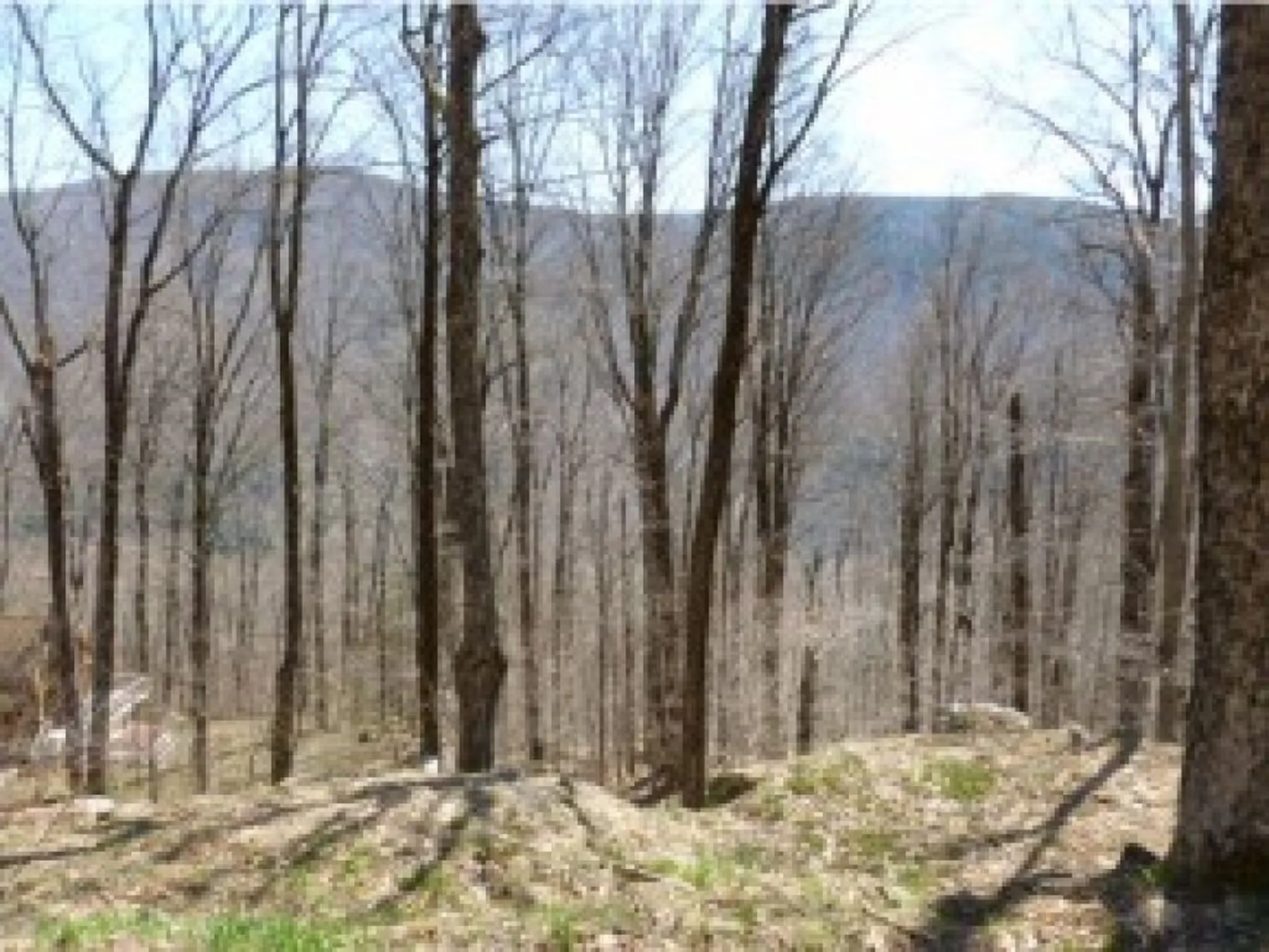 1 Trumans Trek Drive Killington VT 05751