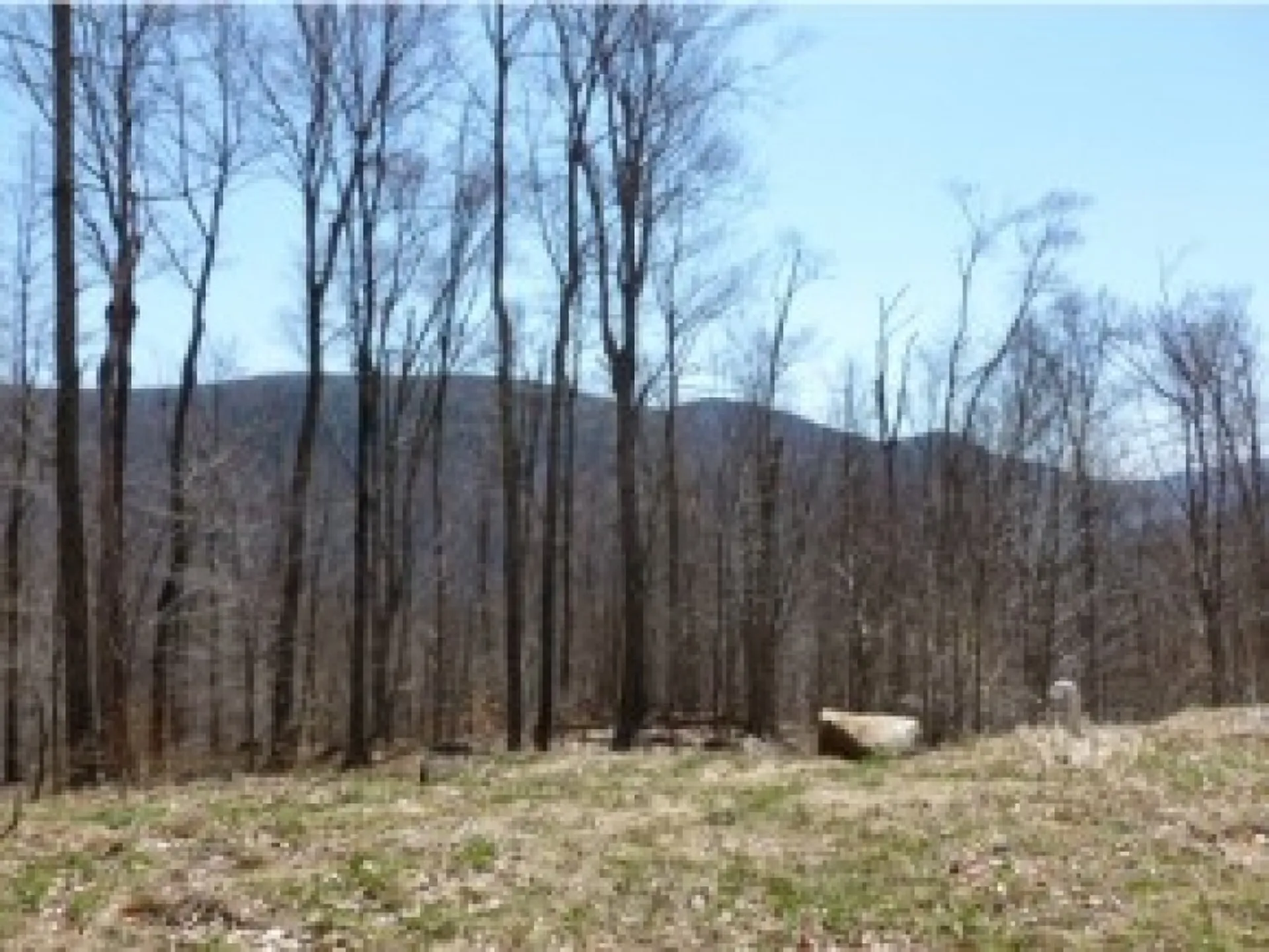 1 Trumans Trek Drive Killington VT 05751