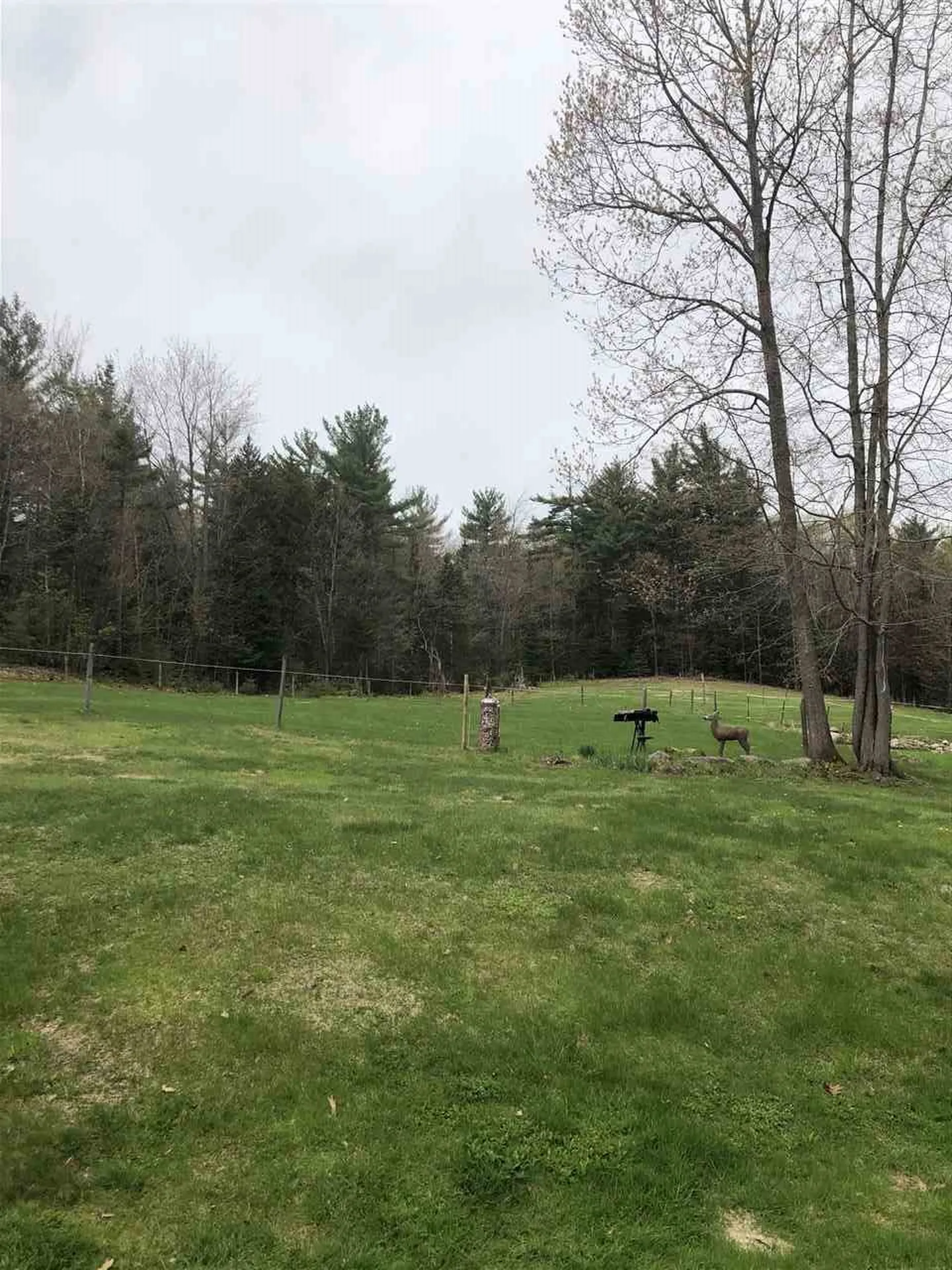 69 Ward Hill Road Danbury NH 03230