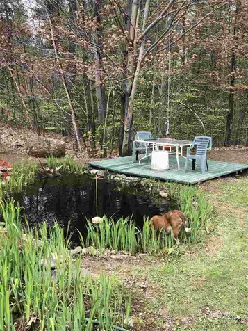 69 Ward Hill Road Danbury NH 03230