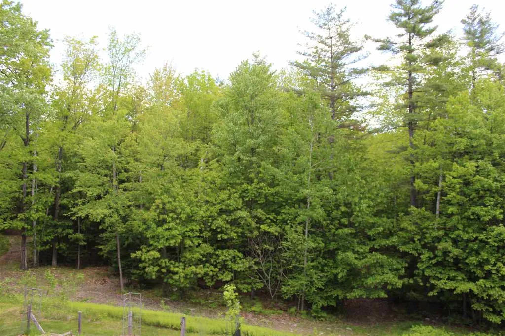 297 Oak Street Newport NH 03773