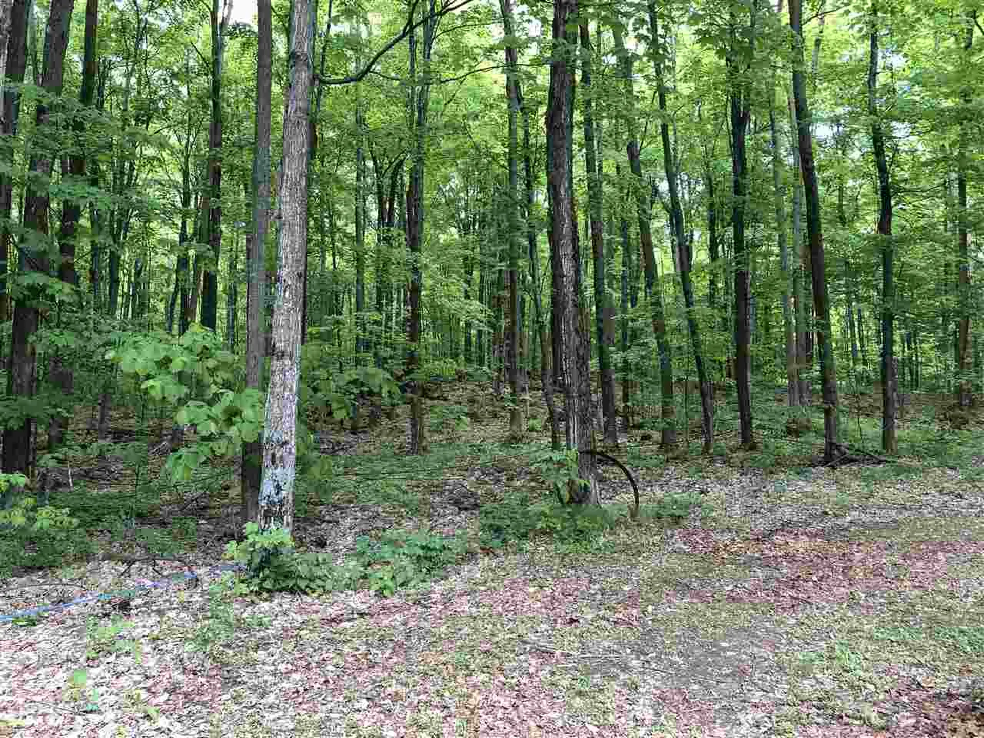 327 Clark Wood Road Ferrisburgh VT 05491