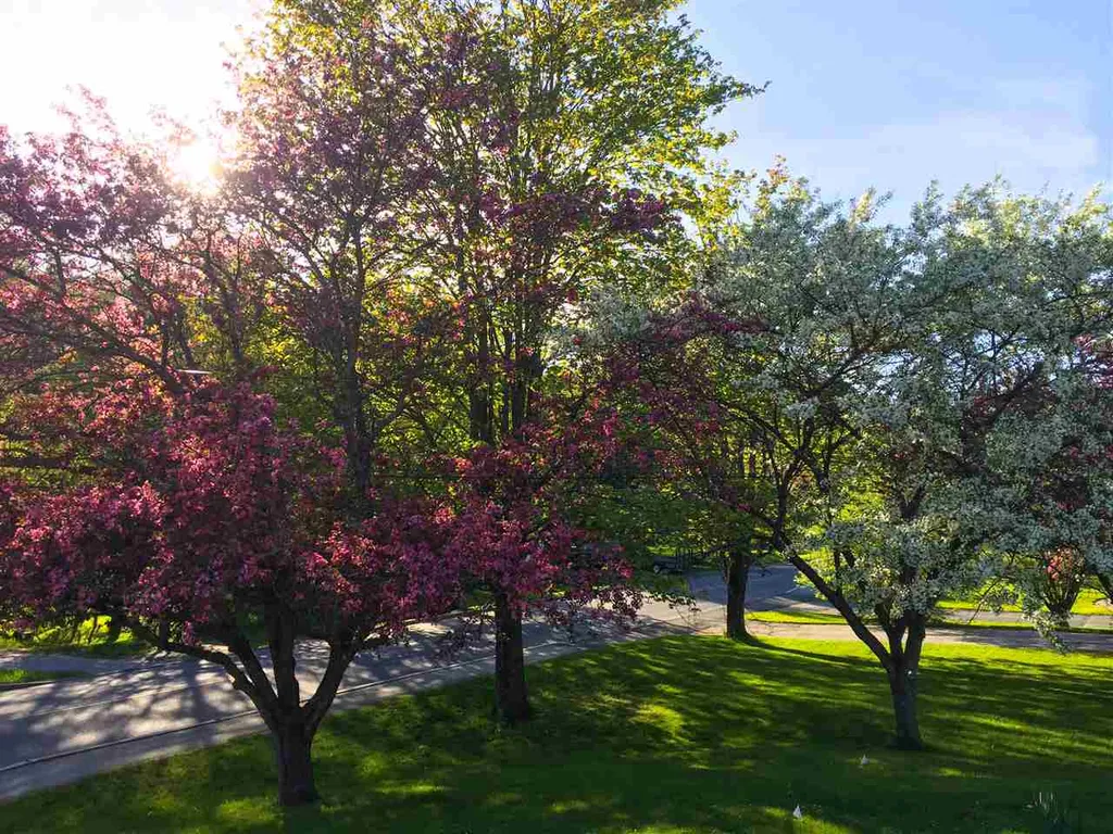 61 Terrace Street Montpelier VT 05602
