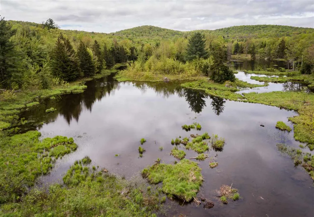 161 Machia Hill Road Westford VT 05494