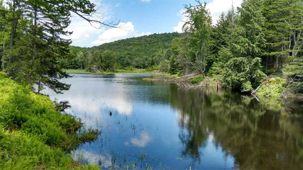 161 Machia Hill Road Westford VT 05494