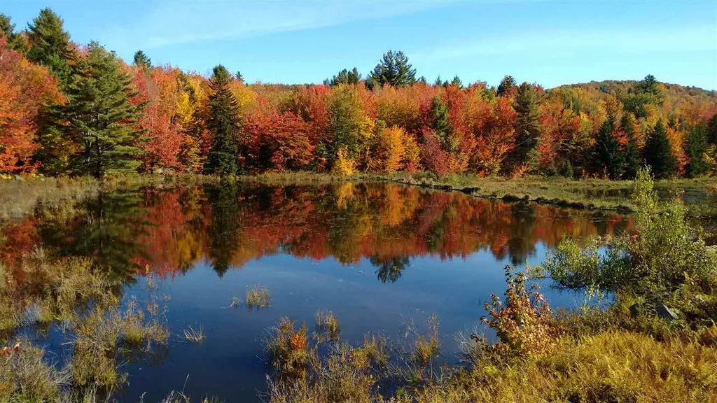 161 Machia Hill Road Westford VT 05494