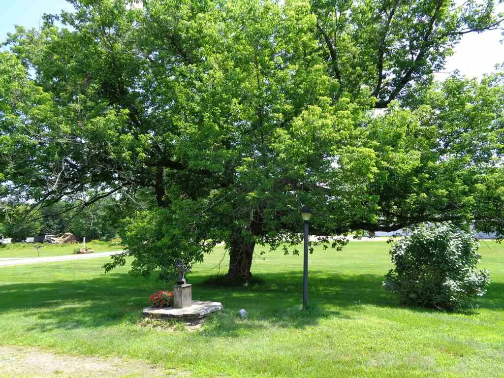 55 Groton Road Hebron NH 03241