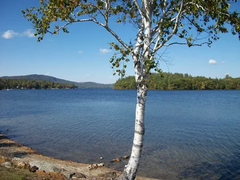 55 Groton Road Hebron NH 03241