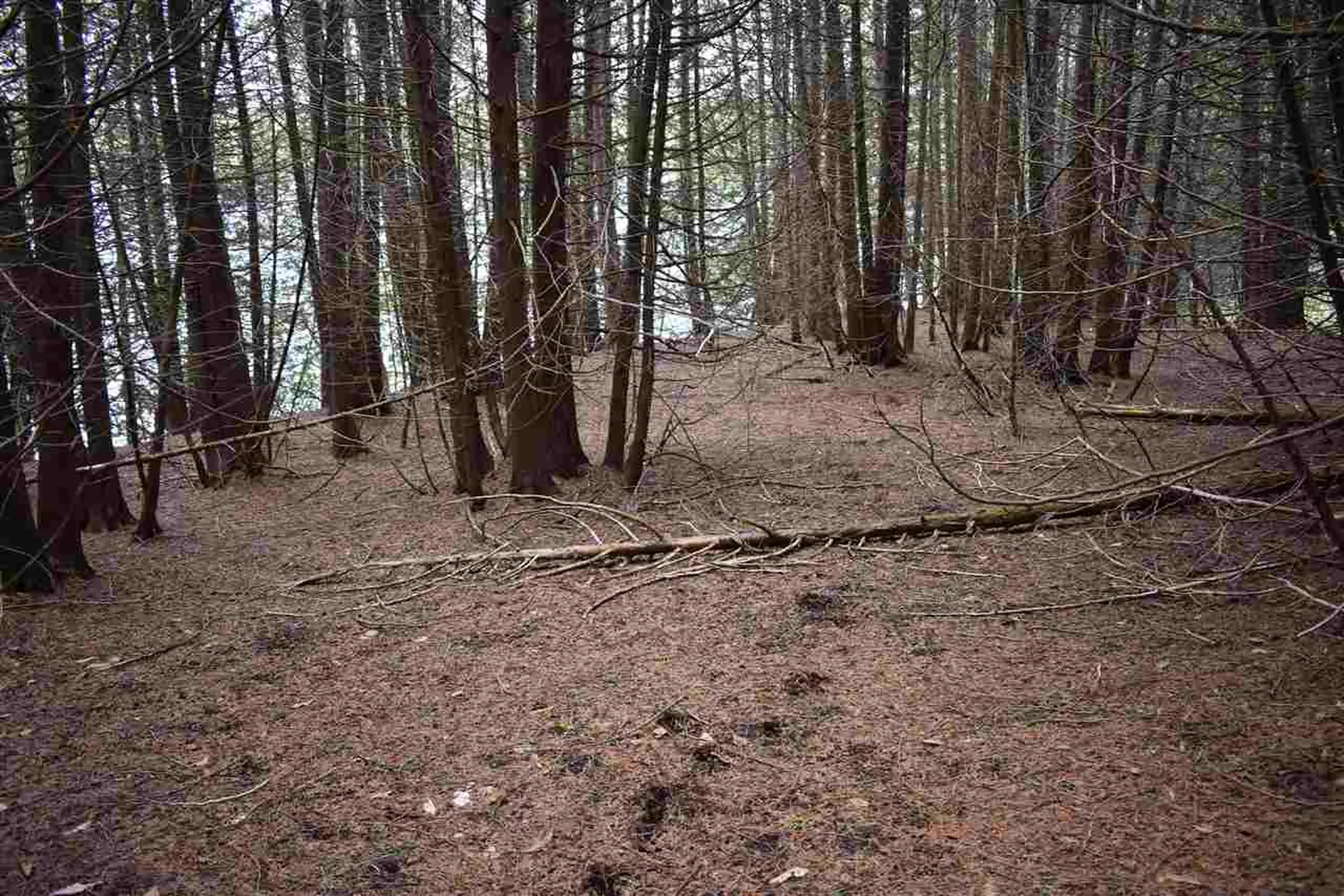 714 Hayward Road Derby VT 05829