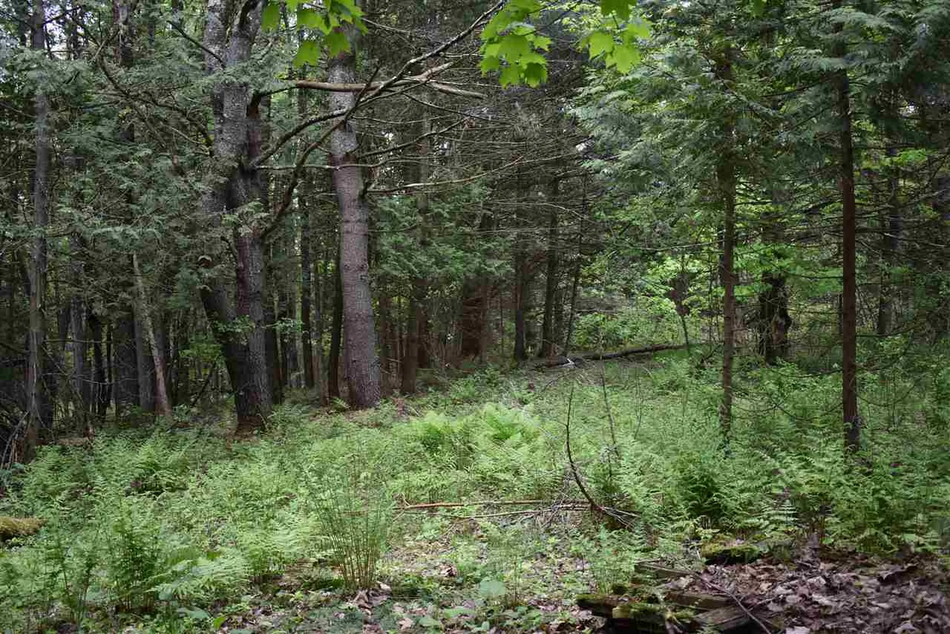 714 Hayward Road Derby VT 05829