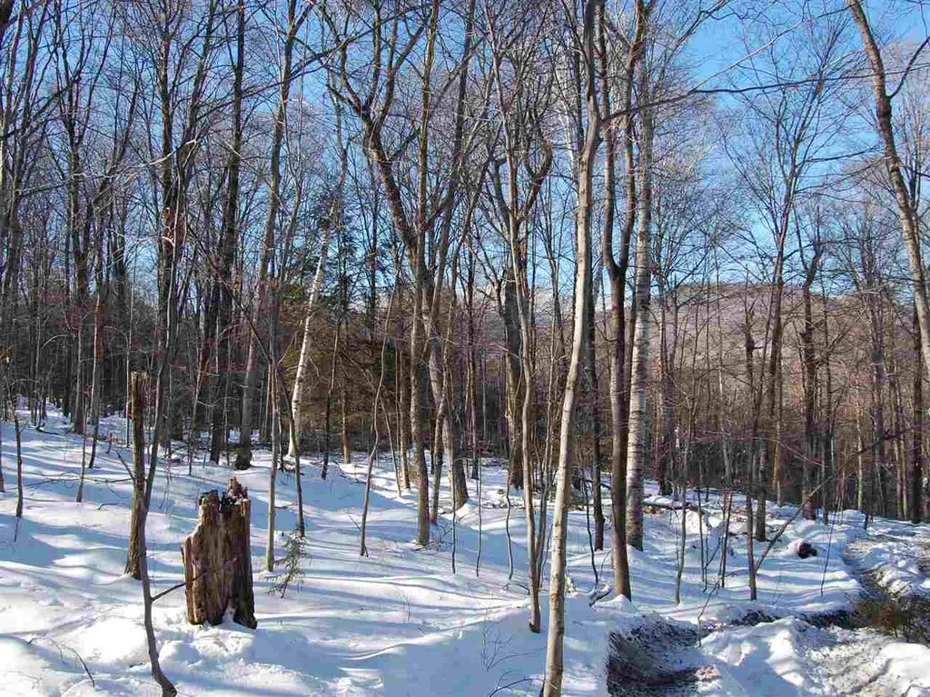 876 Fuller Hill Road Warren VT 05674