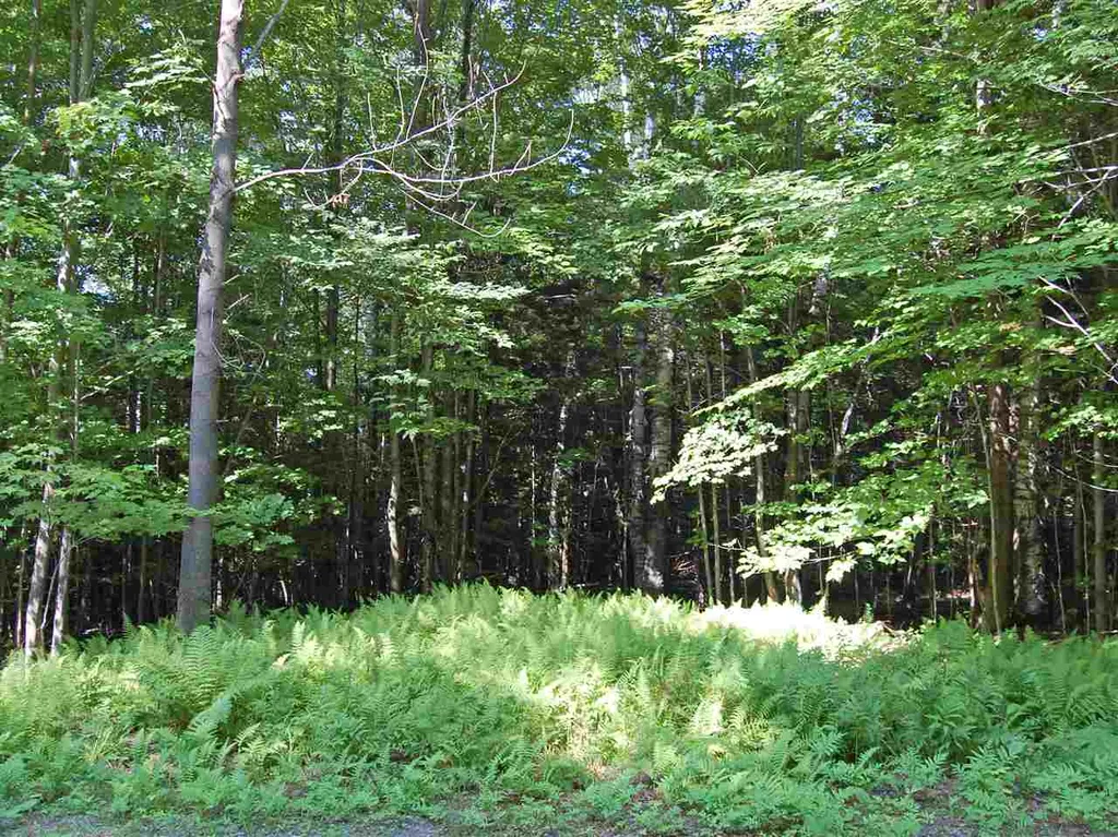 876 Fuller Hill Road Warren VT 05674