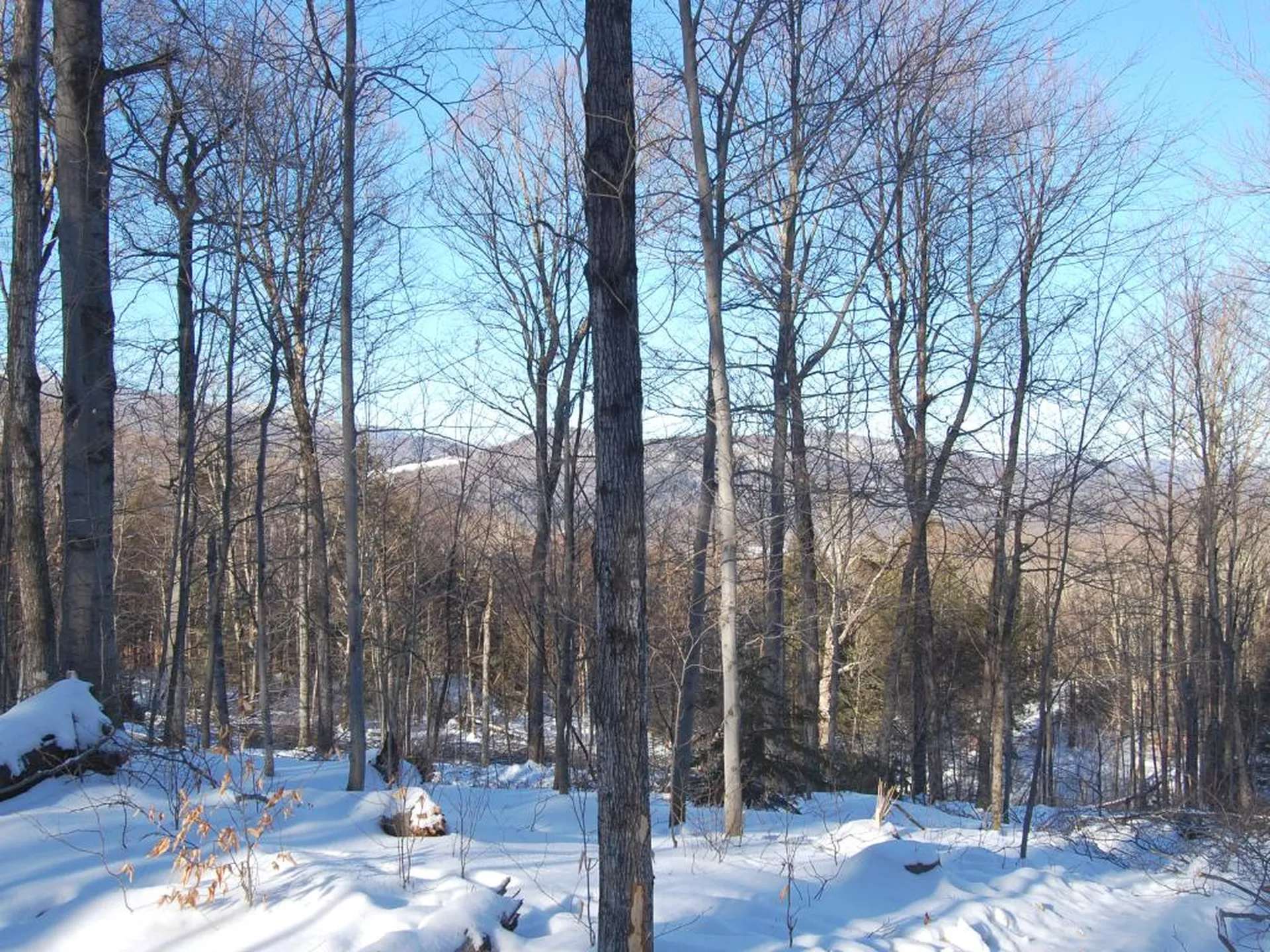 876 Fuller Hill Road Warren VT 05674
