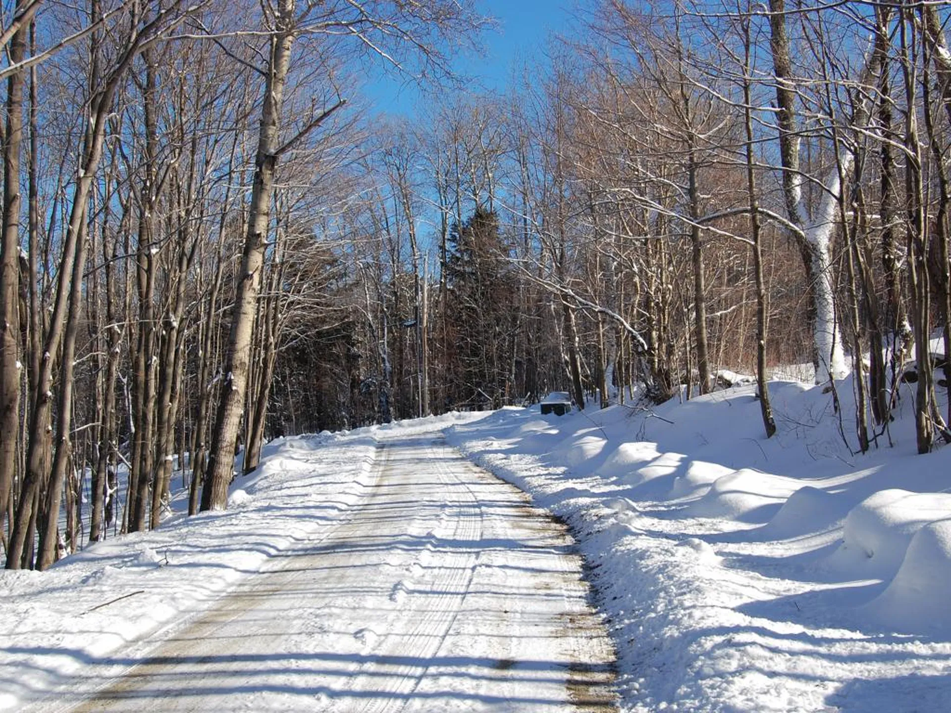 876 Fuller Hill Road Warren VT 05674