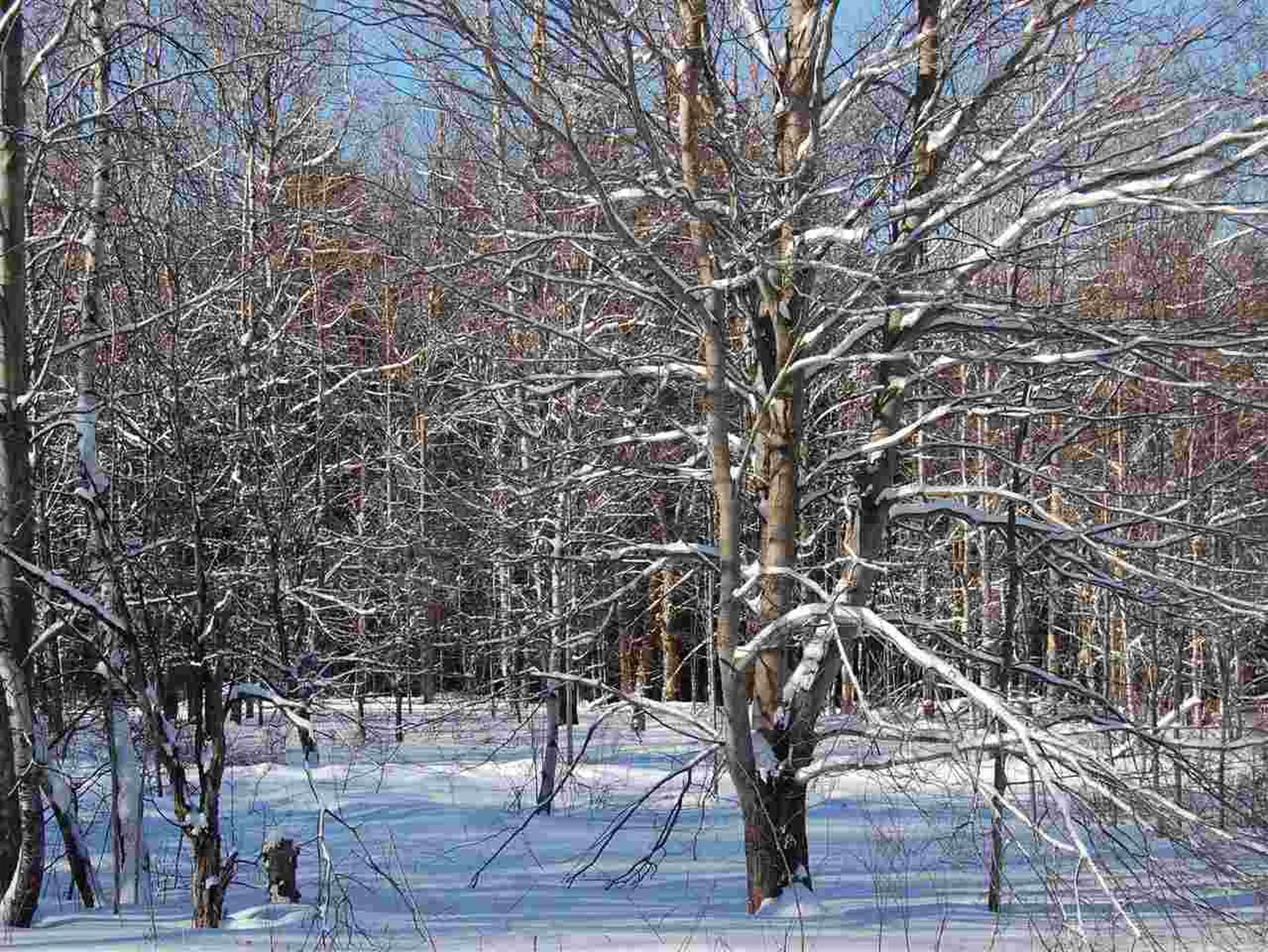 876 Fuller Hill Road Warren VT 05674