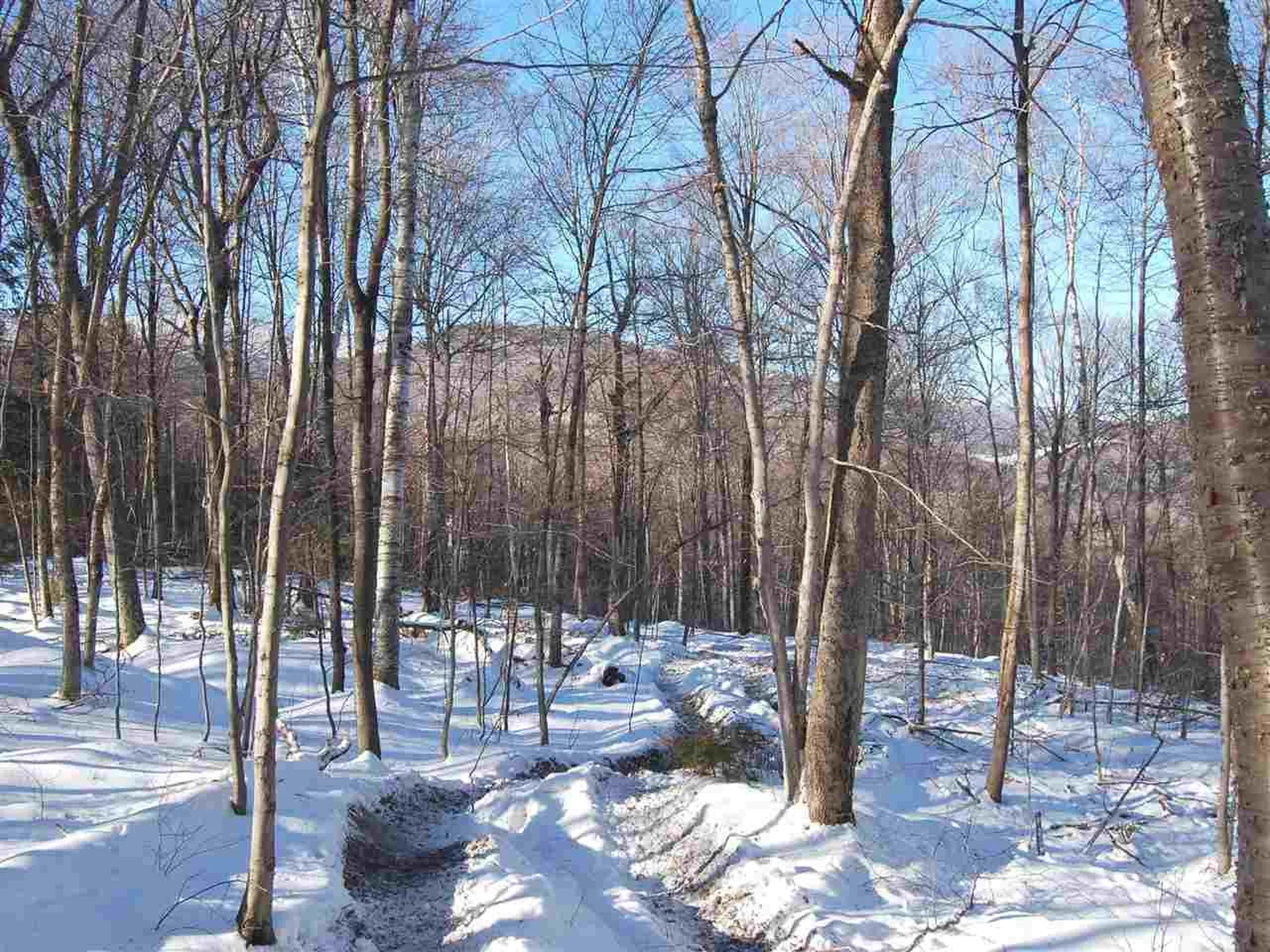 876 Fuller Hill Road Warren VT 05674