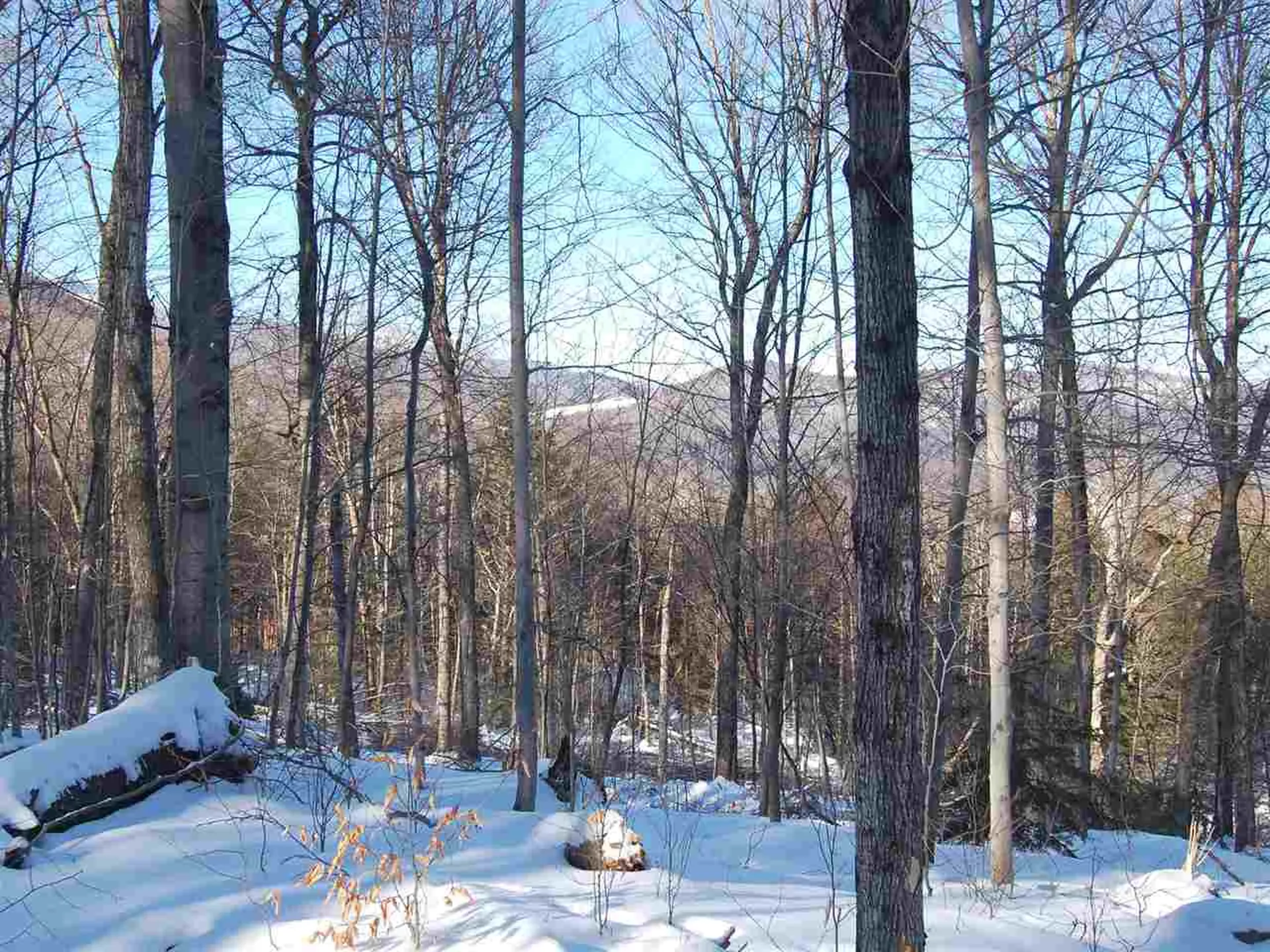 876 Fuller Hill Road Warren VT 05674