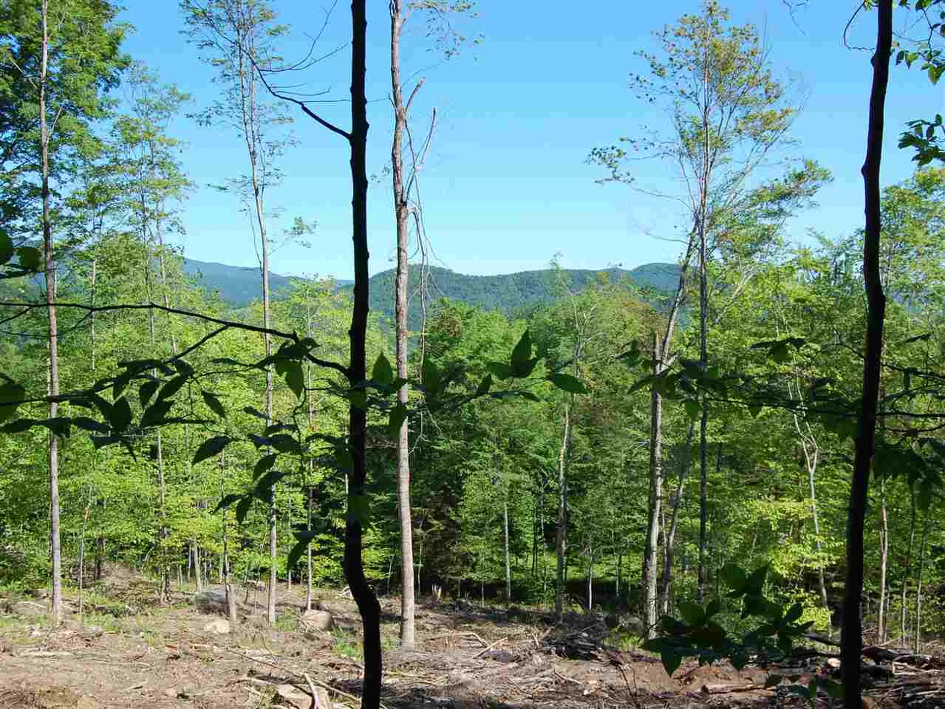 876 Fuller Hill Road Warren VT 05674