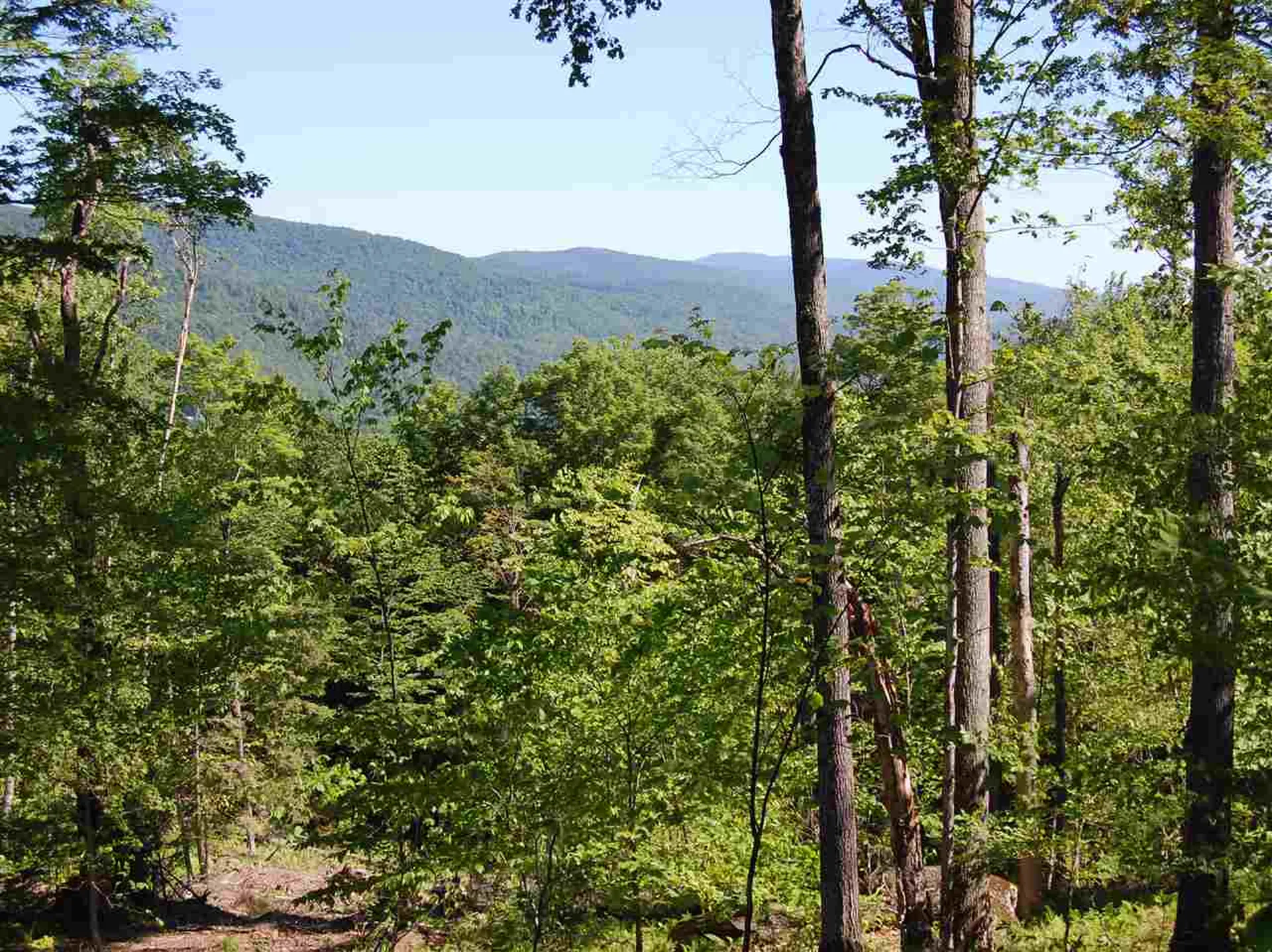 876 Fuller Hill Road Warren VT 05674