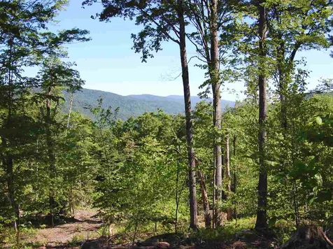 876 Fuller Hill Road Warren VT 05674