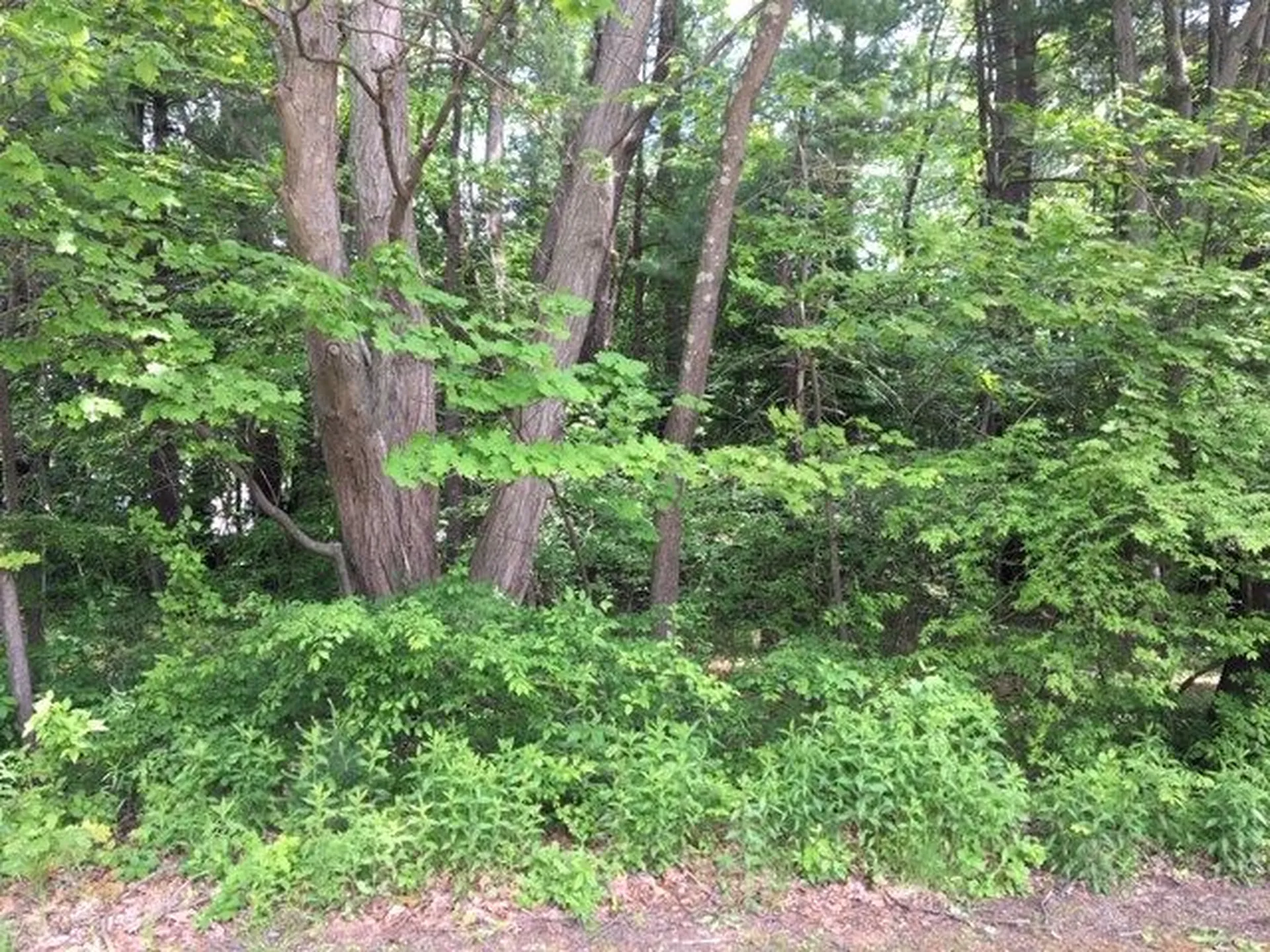 4 Ellswick Street Somersworth NH 03878