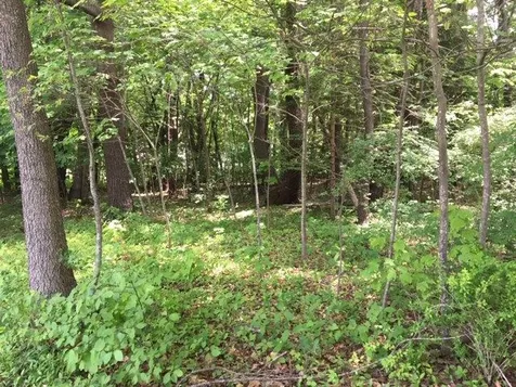 4 Ellswick Street Somersworth NH 03878
