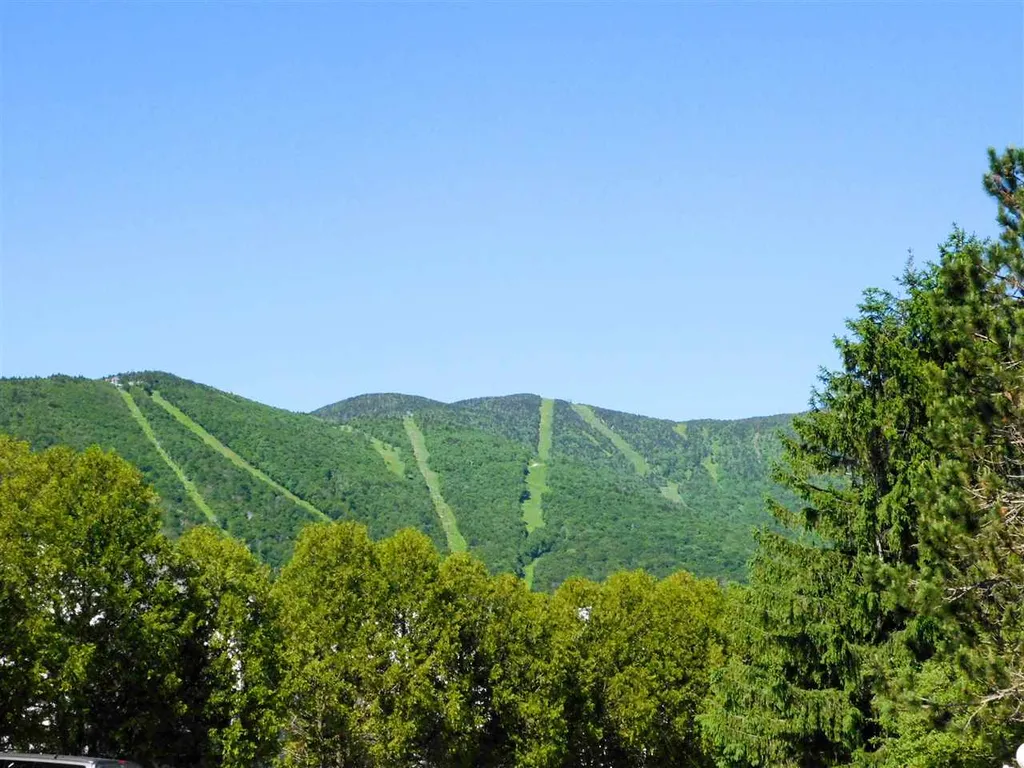 97 Bridges Resort Circle Warren VT 05674