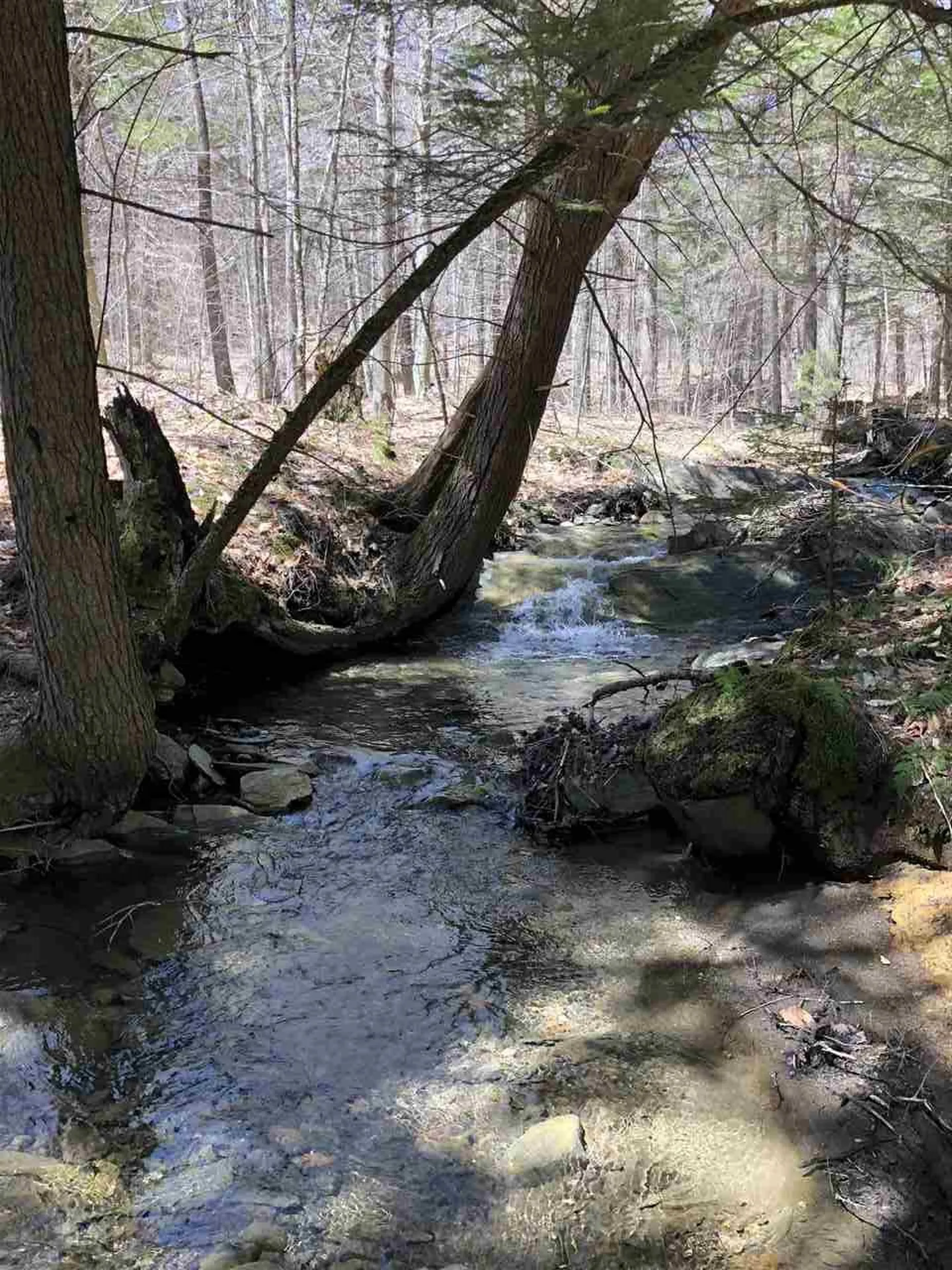 0 Judd Road Thetford VT 05075