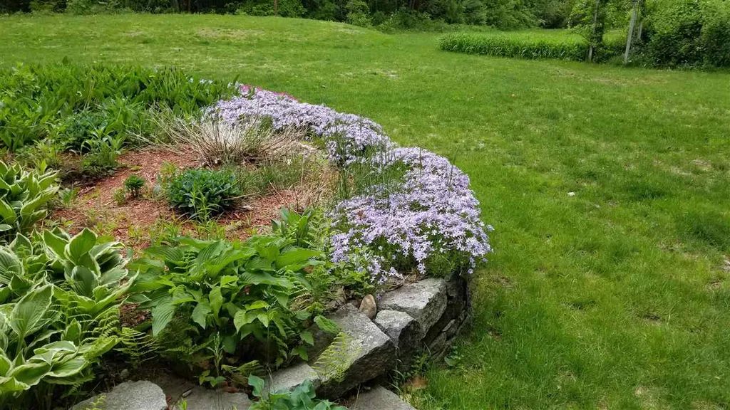 790 Hopkinton Road Hopkinton NH 03229