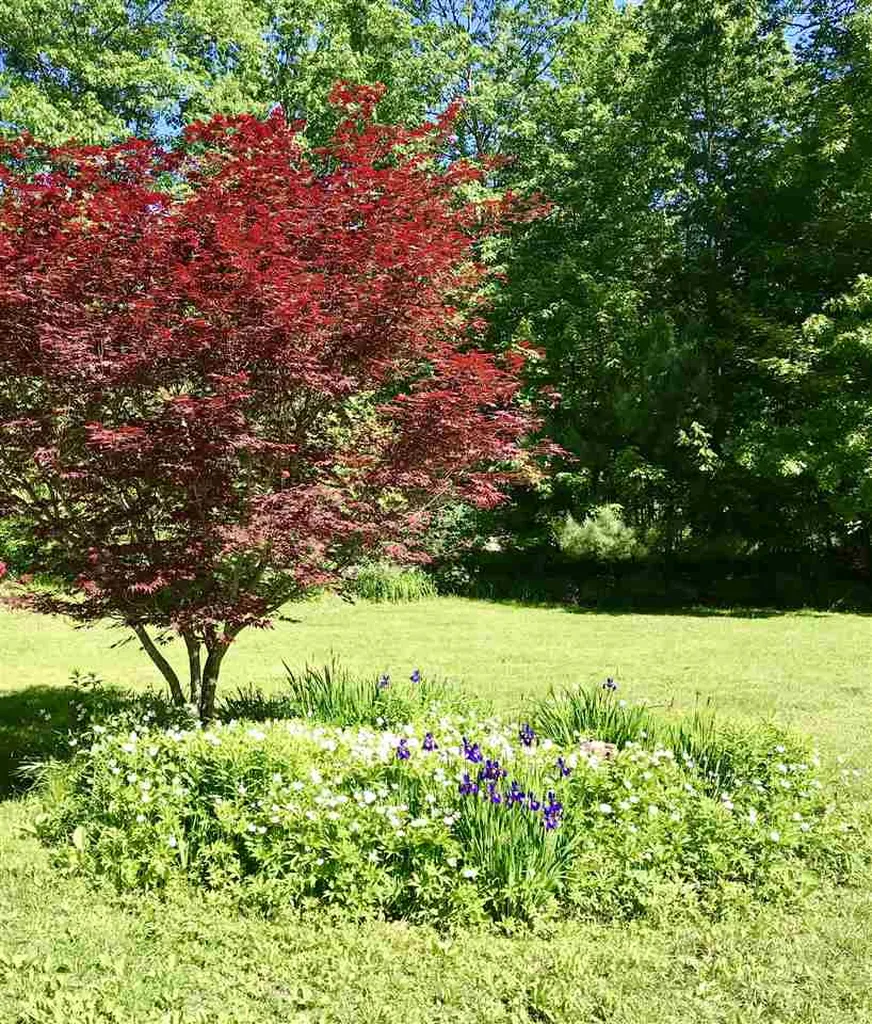 232 Hayden Road Hollis NH 03049