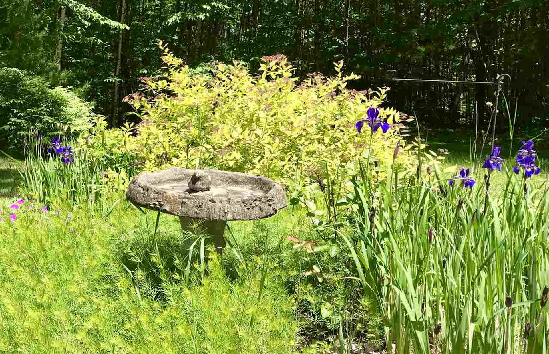 232 Hayden Road Hollis NH 03049