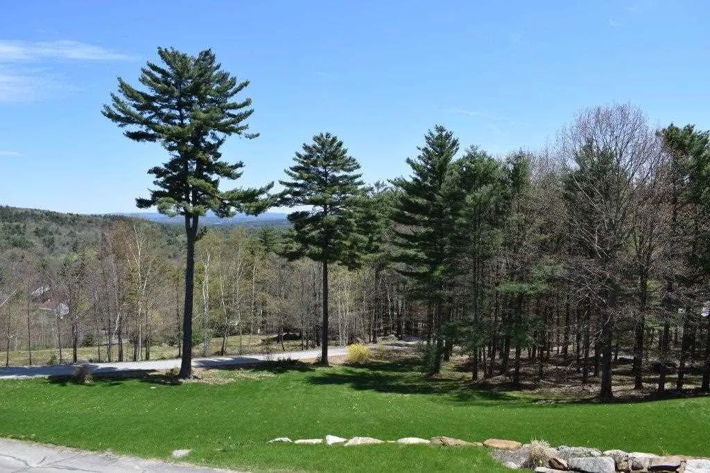 16 Morgan Road Meredith NH 03253