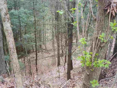 838 Bay Road Colchester VT 05446