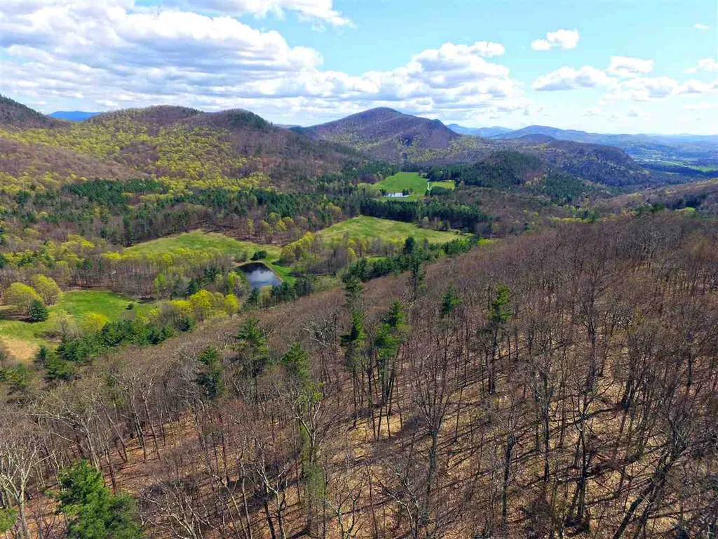 1631 Saw Mill Hill Road Wells VT 05774
