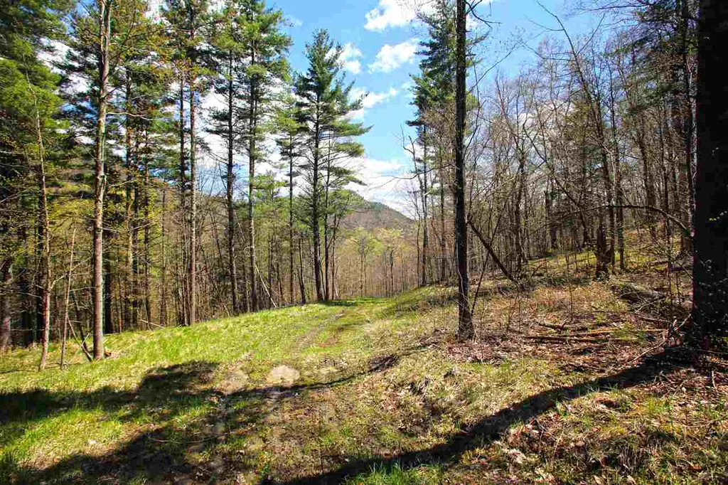 1631 Saw Mill Hill Road Wells VT 05774