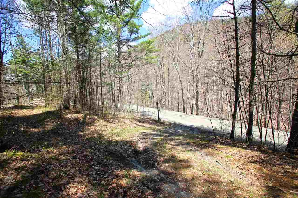 1631 Saw Mill Hill Road Wells VT 05774