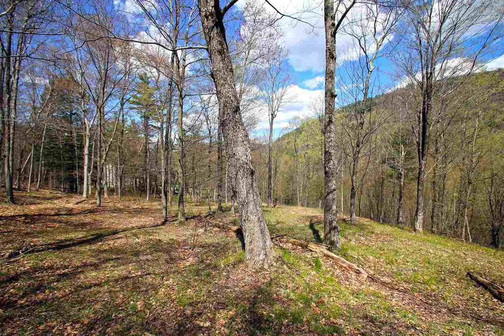 1631 Saw Mill Hill Road Wells VT 05774