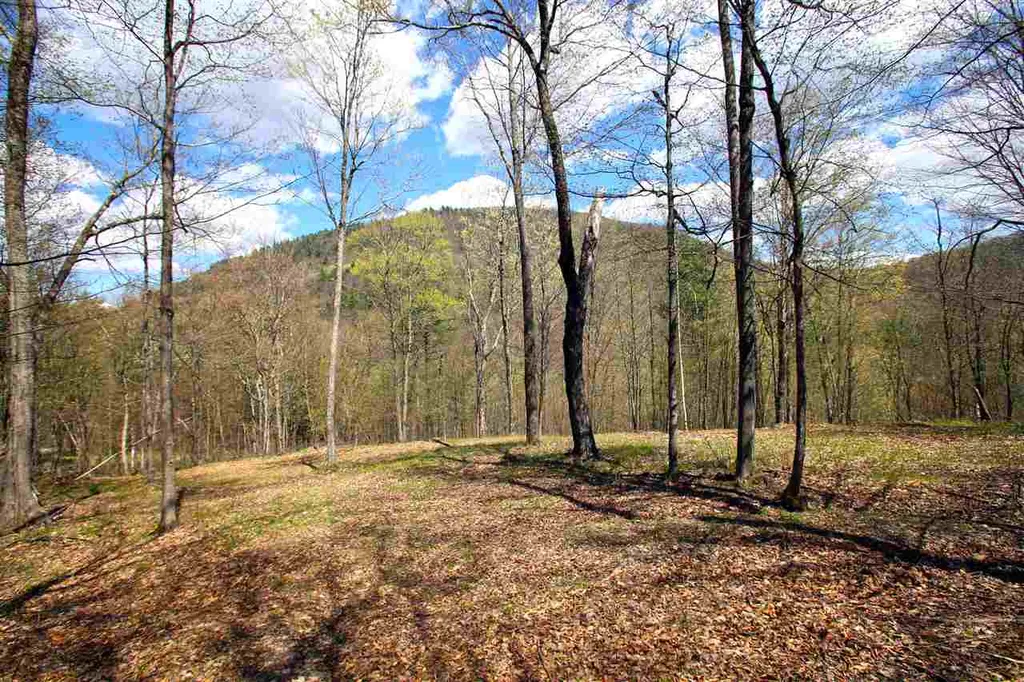1631 Saw Mill Hill Road Wells VT 05774